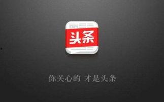 今日头条投资人爆料,揭秘投资背后的真相与内幕  第1张